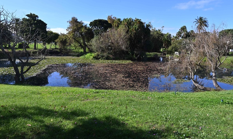 Park-visits-Maynardville-Park-21726.jpg